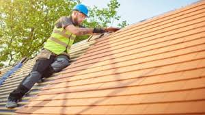 Best Roof Maintenance and Cleaning  in Powers Lake, WI